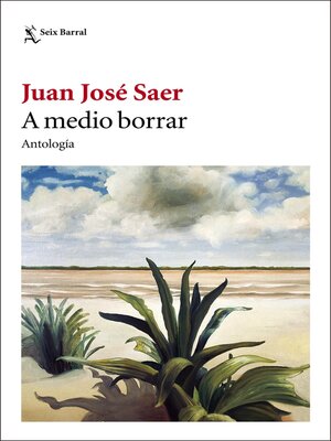 cover image of A medio borrar